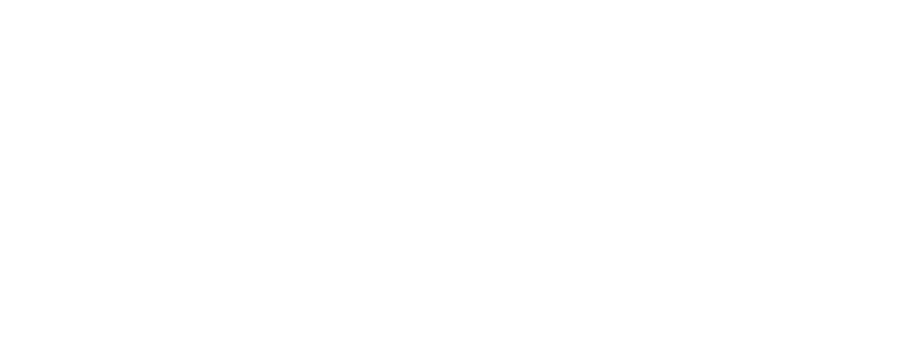 DigiDruids