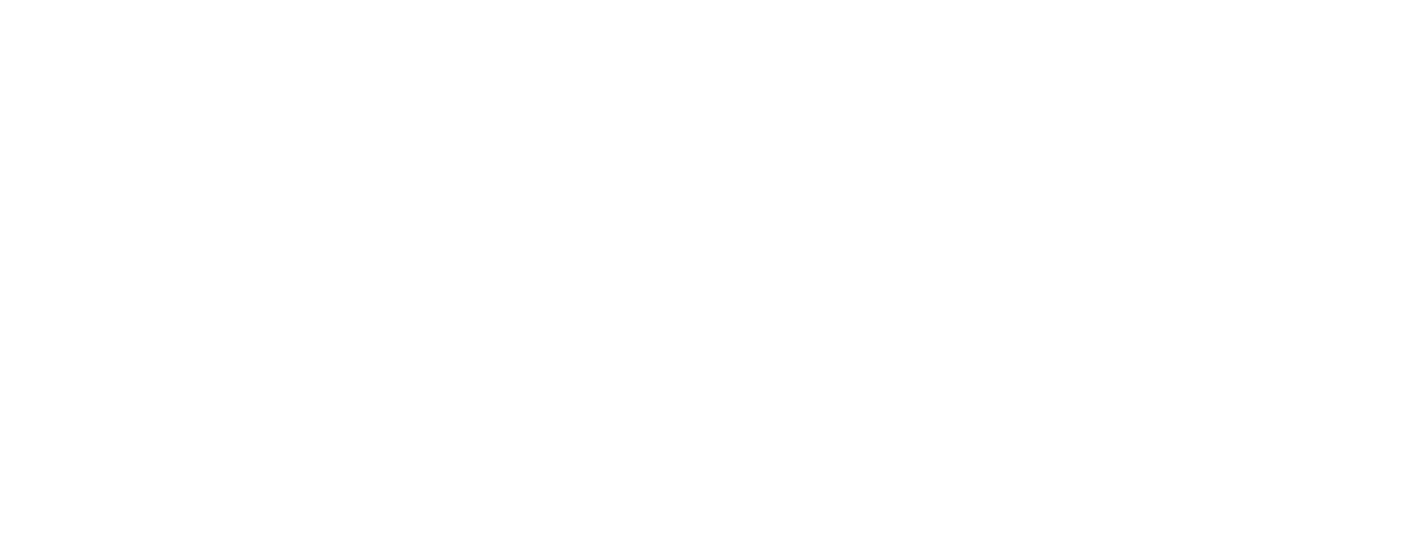 DigiDruids